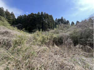 いすみ市苅谷、土地の画像です