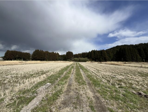いすみ市苅谷、土地の画像です