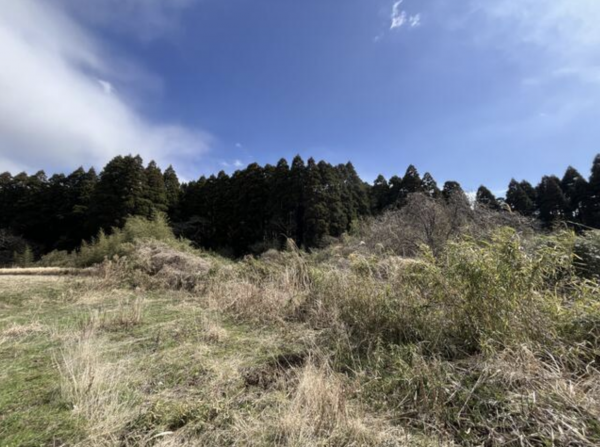 いすみ市苅谷、土地の画像です