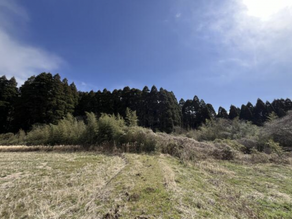 いすみ市苅谷、土地の画像です