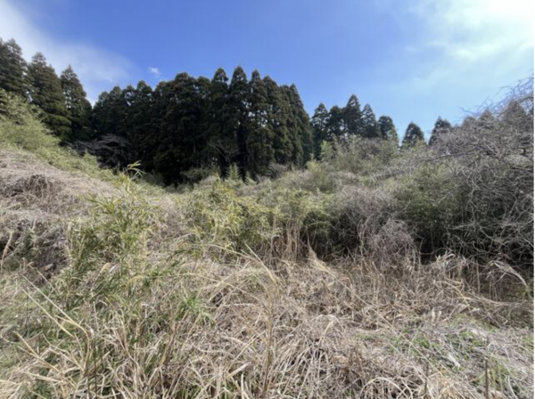 いすみ市苅谷、土地の画像です