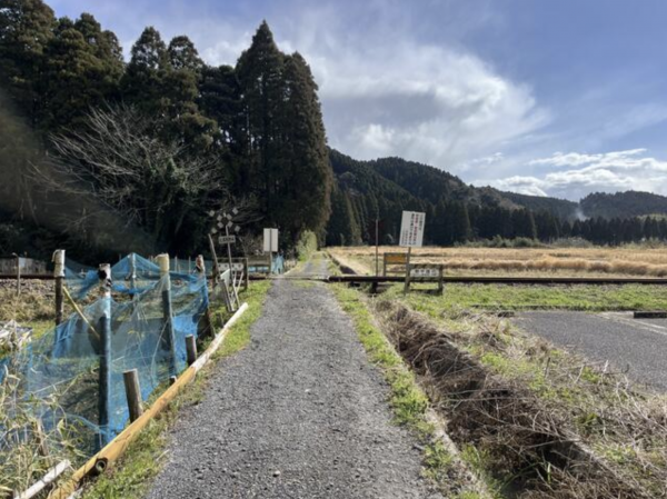 いすみ市苅谷、土地の画像です