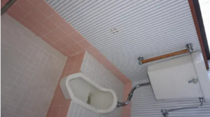 いすみ市岬町、中古一戸建てのトイレ画像です