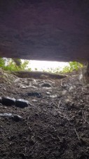 いすみ市岬町、土地の画像です