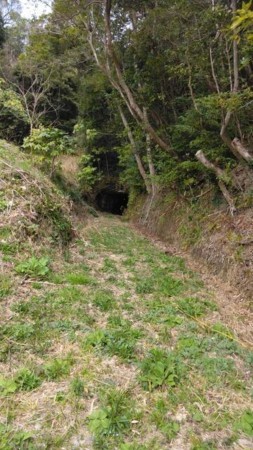 いすみ市岬町、土地の画像です