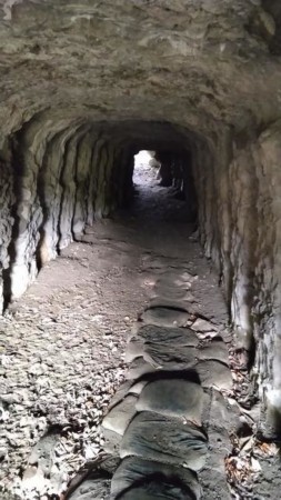 いすみ市岬町、土地の画像です