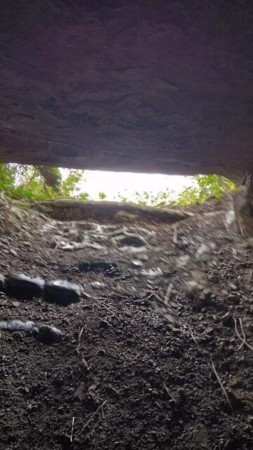 いすみ市岬町、土地の画像です