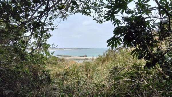 いすみ市岬町、土地の画像です
