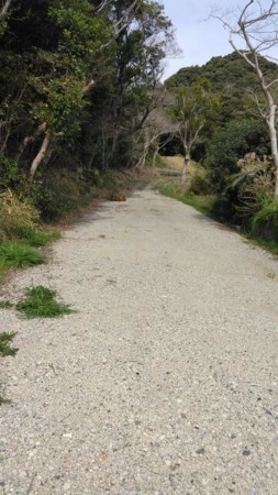 いすみ市岬町、土地の画像です