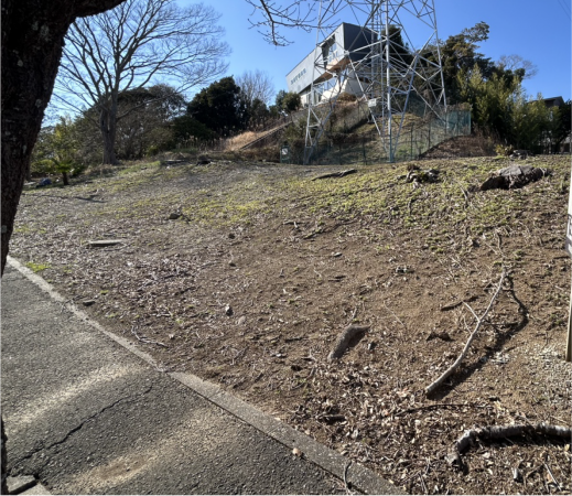 勝浦市守谷、土地の画像です