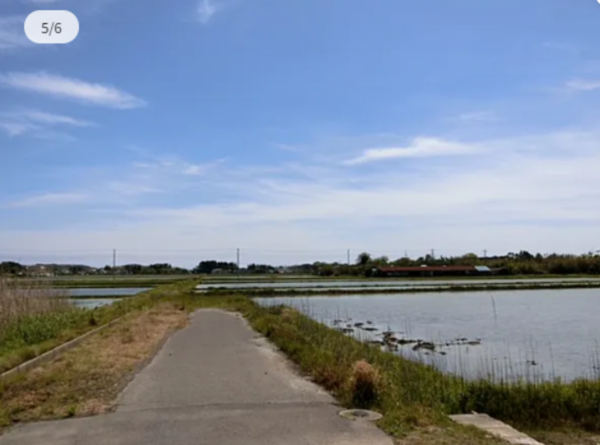 いすみ市岬町、土地の画像です
