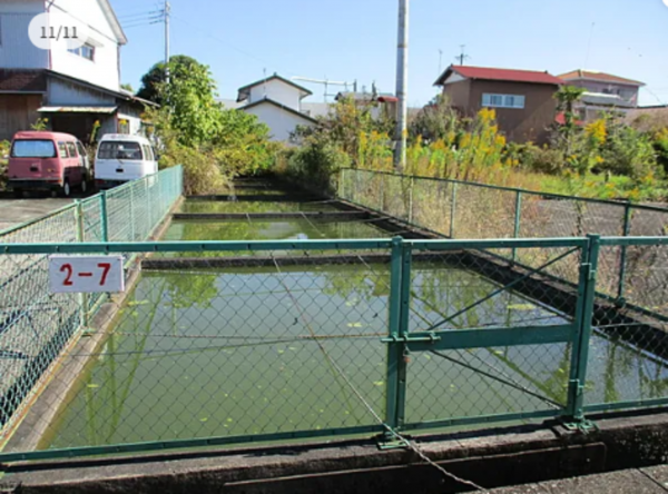 いすみ市弥正、土地の画像です