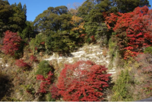 夷隅郡大多喜町葛藤、土地の画像です