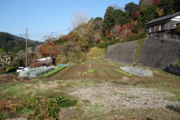 夷隅郡大多喜町葛藤、土地の画像です