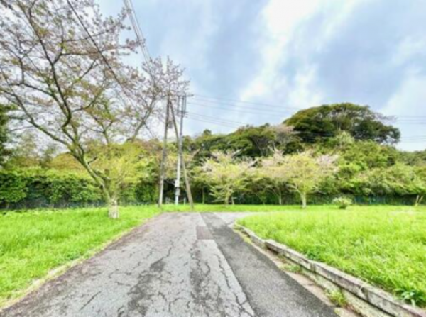 いすみ市岬町、土地の画像です