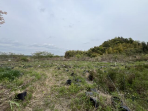 いすみ市岬町、土地の画像です