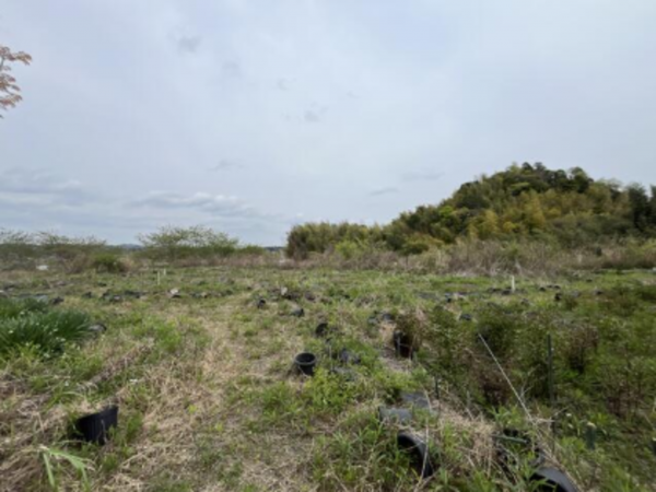いすみ市岬町、土地の画像です