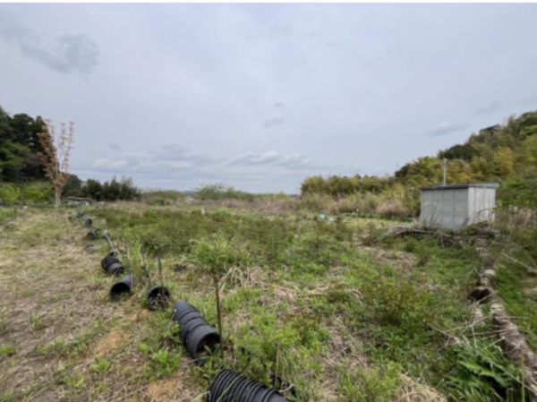 いすみ市岬町、土地の画像です