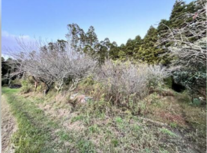 いすみ市楽町、土地の画像です