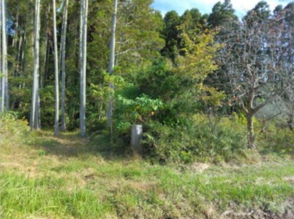いすみ市楽町、土地の画像です