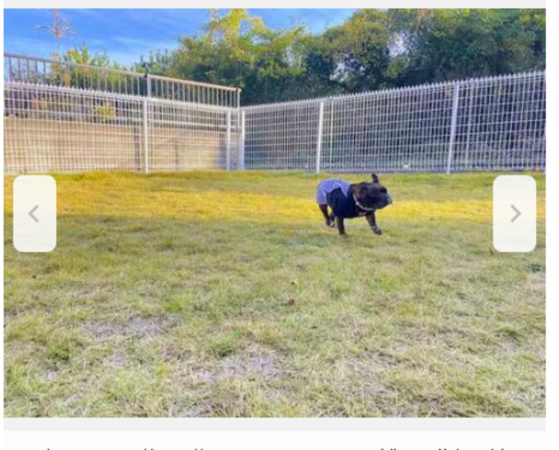 いすみ市若山、中古一戸建ての画像です