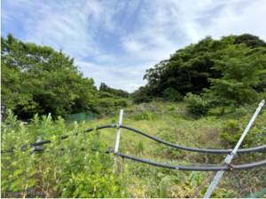 長生郡長南町豊原、土地の画像です