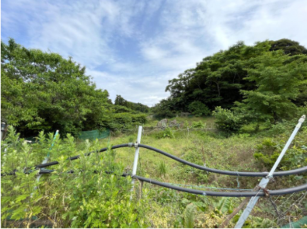 長生郡長南町豊原、土地の画像です