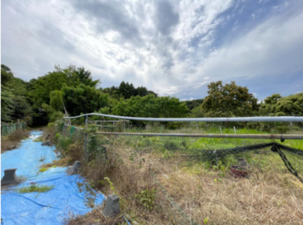 長生郡長南町豊原、土地の画像です
