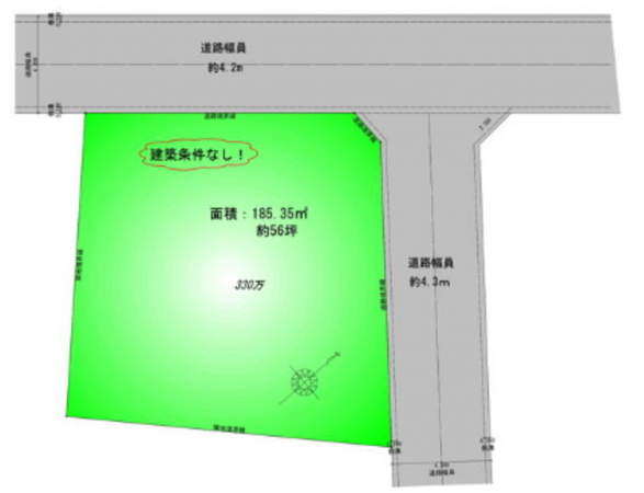 夷隅郡御宿町新町、土地の間取り画像です
