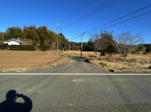 勝浦市大楠、土地の画像です
