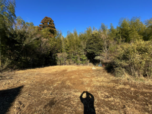 勝浦市大楠、土地の画像です