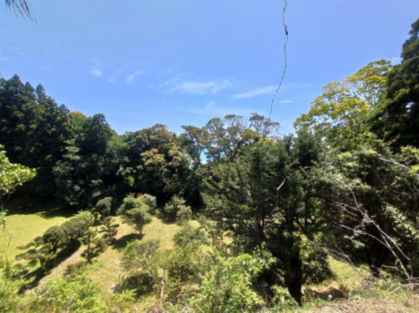 勝浦市串浜、土地の画像です