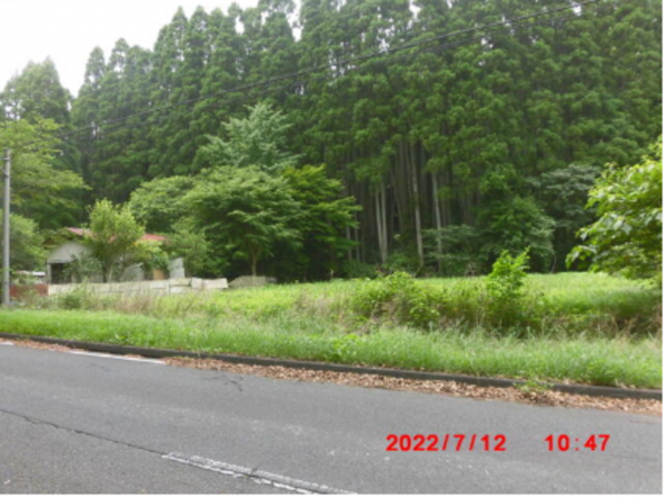 長生郡睦沢町佐貫、土地の画像です