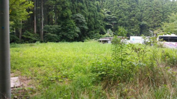 長生郡睦沢町佐貫、土地の画像です