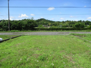 長生郡長南町芝原、土地の画像です