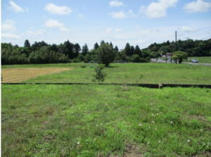 長生郡長南町芝原、土地の画像です
