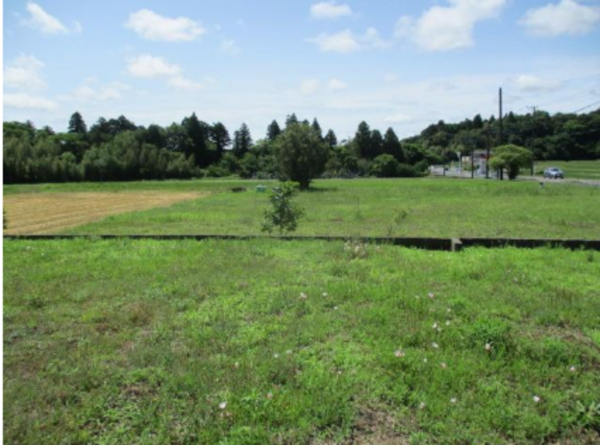 長生郡長南町芝原、土地の画像です