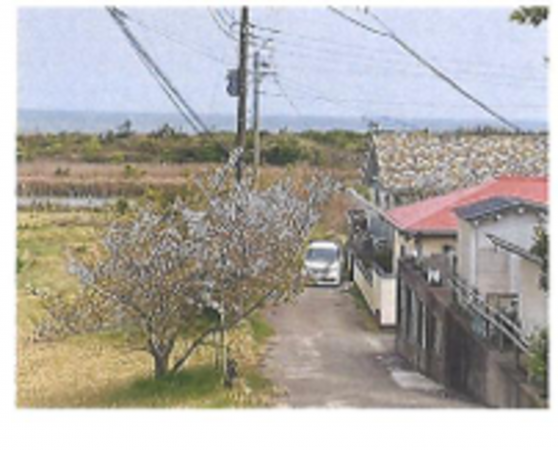 いすみ市岬町、土地の画像です