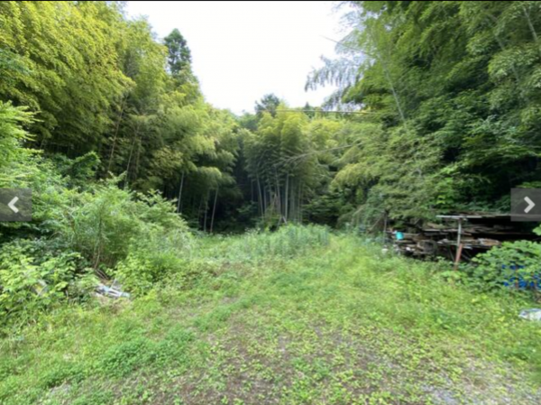 いすみ市大野、土地の画像です