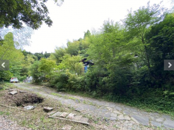 いすみ市大野、土地の画像です