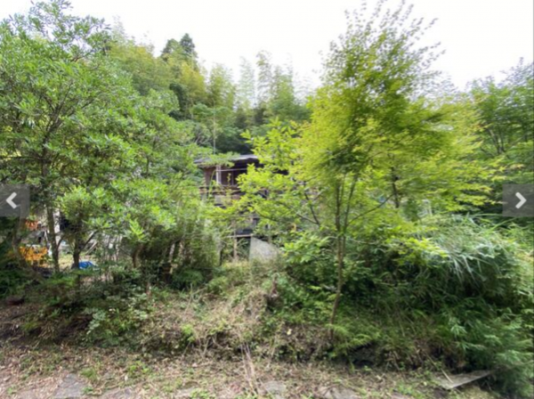 いすみ市大野、土地の画像です