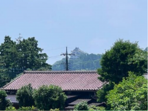 夷隅郡大多喜町泉水、土地の画像です