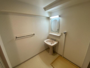 夷隅郡御宿町須賀、マンションの洗面画像です