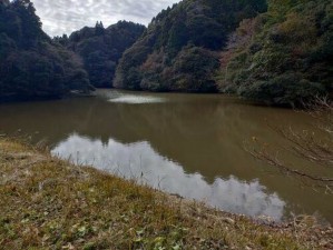 いすみ市新田、土地の画像です