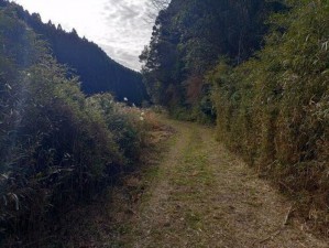いすみ市新田、土地の画像です