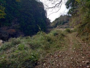 いすみ市新田、土地の画像です