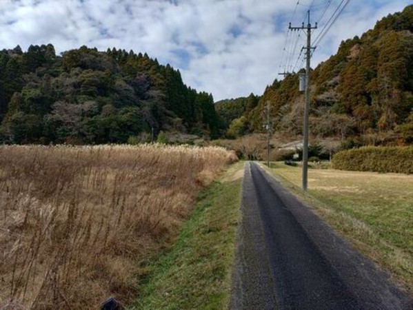 いすみ市新田、土地の画像です