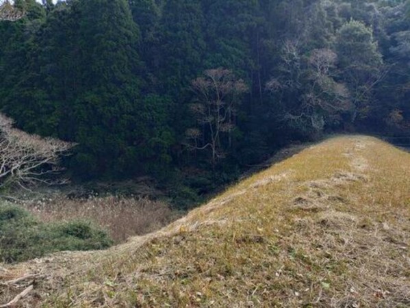 いすみ市新田、土地の画像です