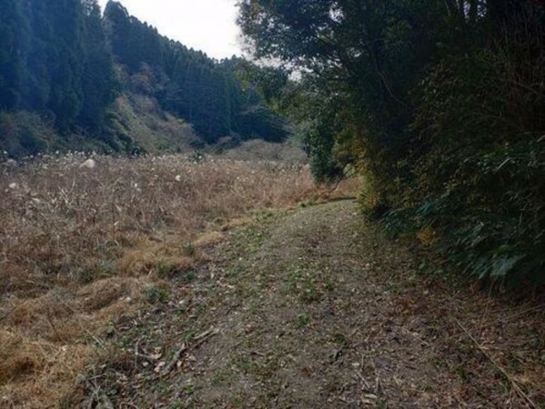 いすみ市新田、土地の画像です