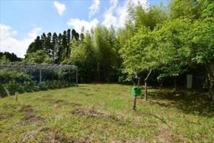 いすみ市山田、土地の画像です